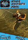 Volume Wakeskate Videos Issue #2 - DVD